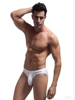 Men's Sexy Underwear Briefs