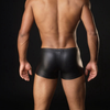 Men's Sexy Golden/Silver Underwear Boxers/Briefs
