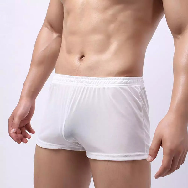 Stylish See Through Men Underpants