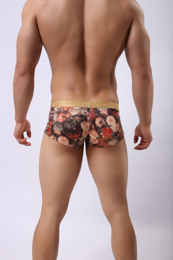 Wallflower Sexy Underwear